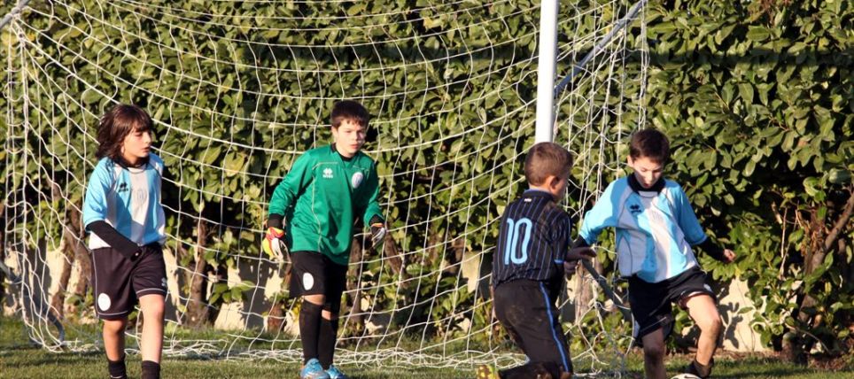 pulcini inter 124